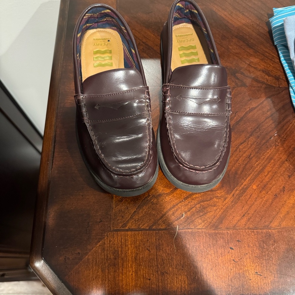 Sperry Kids' Rich Brown Leather Loafers